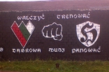 Kibicowskie graffiti